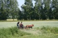 /album/menrit-04-06-2011/a06-04-2011-114-jpg/